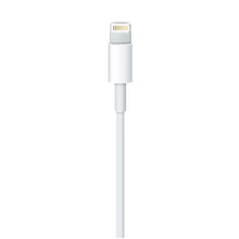 Load image into Gallery viewer, Apple Lightning to USB Cable (2Metre) – MD 819